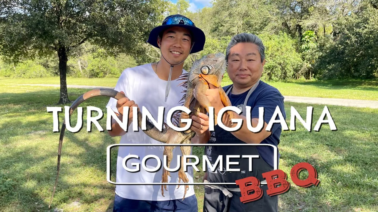 Turning Iguana Into Gourmet: Catch and Cook Iguana Sushi FEAT: DannyGrubs & The Iguana Man