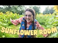 Sunflower Room Tea Party Painting Music SUNFLOWERS cozy chill lowfi vlog