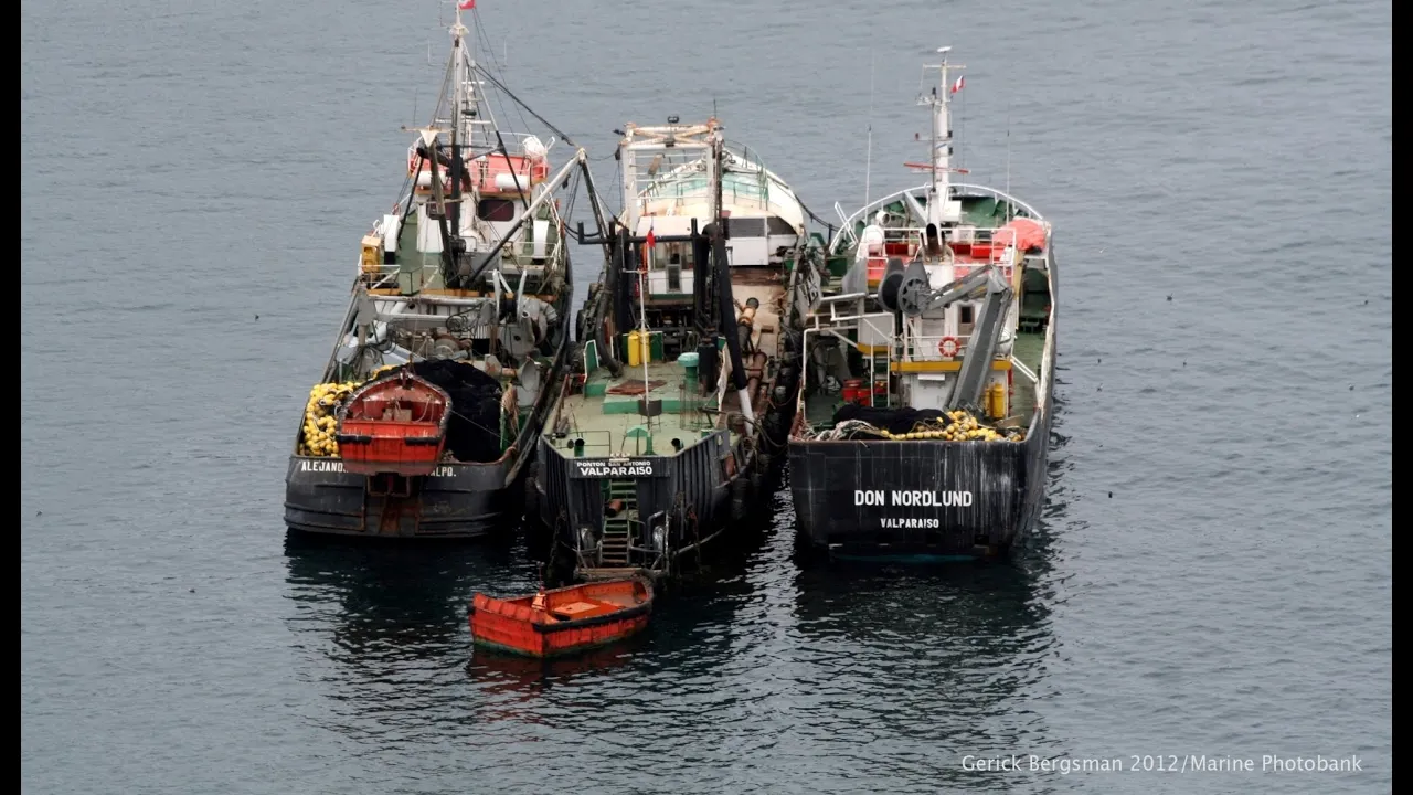Hugo Salgado: Individual Transferable Quotas in Chilean Fisheries