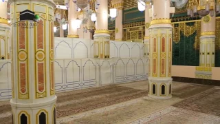 روضة المختار طه 