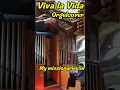 Download Lagu Viva la vida – Orgelmusik zur Hochzeit  #Shorts #coldplay #vivalavida #orgel #hochzeit