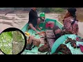 Download Lagu Berburu tupai di pedalaman sungai Kalimantan 