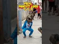 Download Lagu topeng monyet kocak#shorts #viral #meme #memes #story