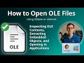 What is an OLE File Understanding OLE Compound Documents Embedded Objects
