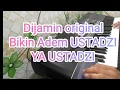 Download Lagu Merduh!!! ustadzi ya ustadzi+ Teks