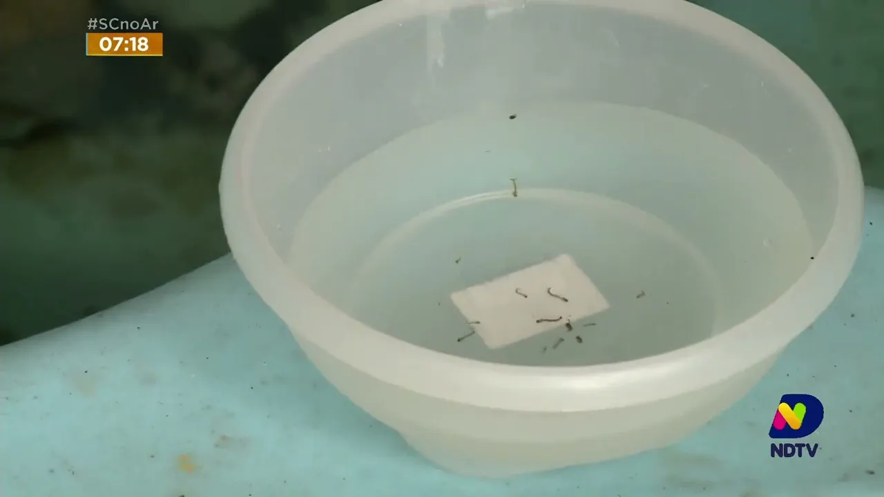 Florianópolis amplia horários para atendimento aos casos de dengue em dois postos da cidade