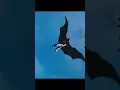 After 34 years Michael Keaton Batman is back