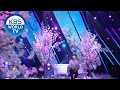Download Lagu JIBEOM(Golden Child) - Your Shampoo Scent In The Flowers [Music Bank / 2020.04.03]