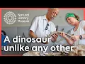 Download Lagu Nieuwe dinosaurus is anders dan alles wat we ooit hebben gevonden | Unieke gepantserde dinosaurus...