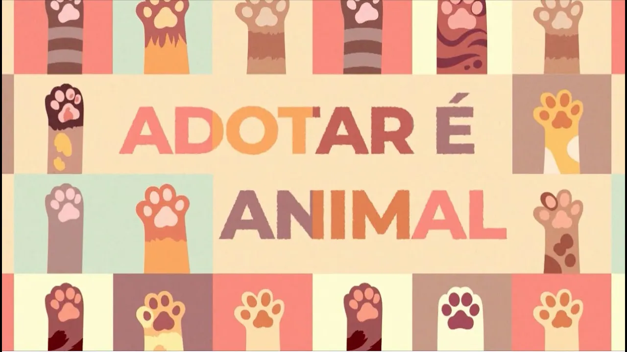 Adotar é animal: Cães que foram resgatados por um catador de recicláveis estão a procura de um lar