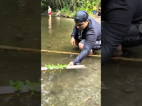 Cómo hacer un barquito con una hoja 🍃