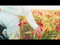 Download Lagu NO REGRETS  I Slow motion #Samantha Jones #shorts