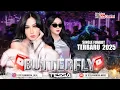 Lagu BUTTERFLY MELLY GOESLAW SINGLE FUNKOT TERBARU VIRAL TIKTOK 2025 DJ TESSA MORENA