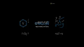 والسابقون السابقون عمير شميم 