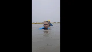 Best Of Agent
