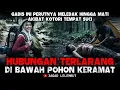 Download Lagu Dijadikan Istri penunggu Gunung Raung || Akibat Kotori Tempat Suci - Cerita Horor