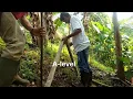 Two simple Methods for Erosion Control