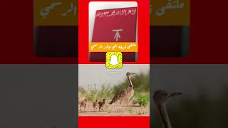 قبيلة بني خالد بني خالد قبيلة بني خالد قطر شعر قصيدة البحرين عمان الكويت تاريخ الكويت New 