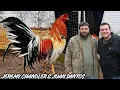 Jeremy Chandler Juan Santos - Feeding Time Shape Chicken Coop Indoor Outdoor Breeding Pens