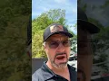 How To Do Squirrel Trapping and Squirrel Removal