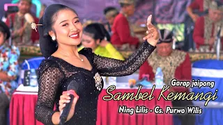 Download SAMBEL KEMANGI GARAP JAIPONG - NING LILIS - CS. PURWO WILIS MP3