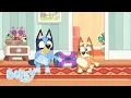 Download Lagu Musical Moments with Bluey 🎶 | Bluey