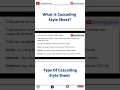 What Is CSS Types Of CSS