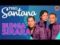 Lagu Trio Santana - Bunga Sirara (Official Musik Video)