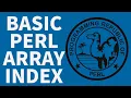 Perl Programming - Array Index Position Beginners Tutorial 2022