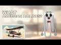 What Was the First American Airlines Flight