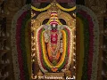 Download Lagu Suprabhatham 🙏🏻#suprabhatam#srivenkateswara#lordvenkateshwara#lordbalaji#balajistatus#tirupathi
