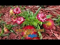 Rain - Boy Mondragon Video Karaoke