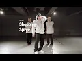Davido - Shopping Spree ft. Chris Brown, Young Thug / Alexx Choreography