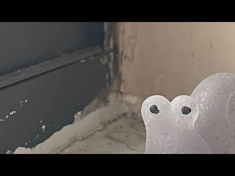 Snail Moves Slowly!
