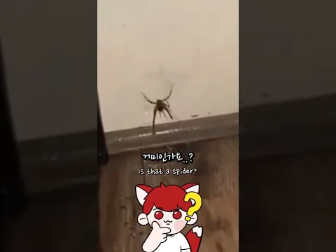 절대 놀라지 않는다면 성공입니다!(챌린지)