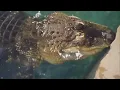 Would You Keep This 750-Pound Gator as Your Pet