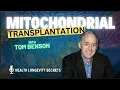 Download Lagu Werkt mitochondriale transplantatie?