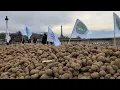 Lagu Farmers Dump 30 Tons Of Potatoes In Paris To Protest Proposed Trade Deal