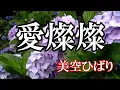 愛燦燦  / 美空ひばり (歌詞入り)