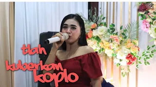 tlah kuberikan koplo dewi savolla oqinawa live music