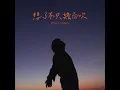 想了不只幾百次 - PPlin 林芃逸 & 齊翔 XIANG