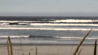 french for rabbits claimed by the sea