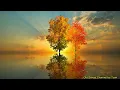 Download Lagu Autumn in Melbourne