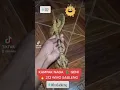 Download Lagu KAMPAK NAGA 🐉 GENI 🔥 212 WIRO SABLENG 😆😆😆