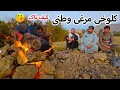 Download Lagu کلوخی مرغ و کچالو پخته کدیم به سبک استاد امان لوگری  