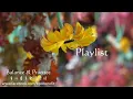 Download Lagu [playlist] 三首溫柔之歌--3 soft songs from Sarah Kang
