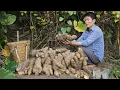 Lagu Preparing Taro Root Dishes the Way Our Ancestors Survived Hunger | Solo Survival