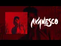 Avanesco - Inner Peace (Lyric Video)