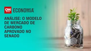Análise: O modelo de mercado de carbono aprovado no Senado | WW