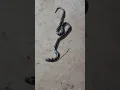 Download Lagu https://www😨.instagram.com/reels/audio/1412327000110065😨?igs=MXBldmpnaDBiZzRnMw=😨=33284